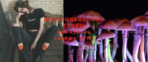 MESCALINE Пересвет